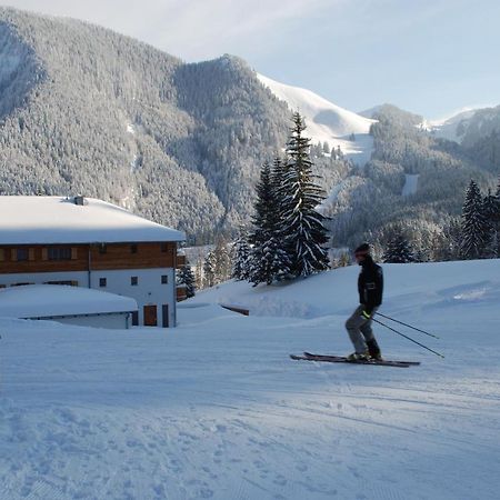Blsv Sportcamp Direkt Am Kurvenlift Vandrehjem Schliersee Eksteriør billede